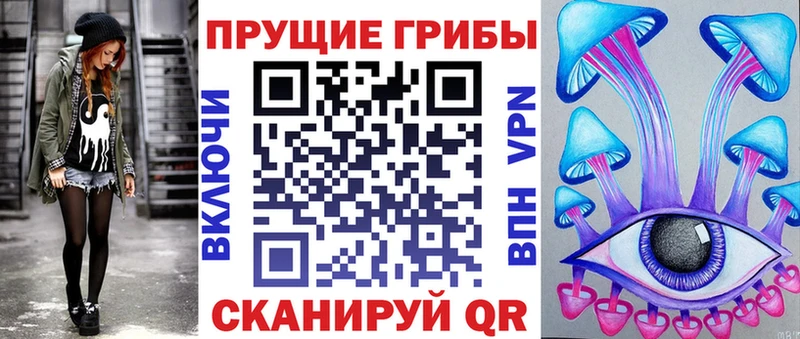 Галлюциногенные грибы Psilocybe  Долгопрудный 