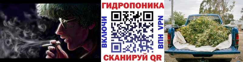 Бошки Шишки OG Kush Долгопрудный